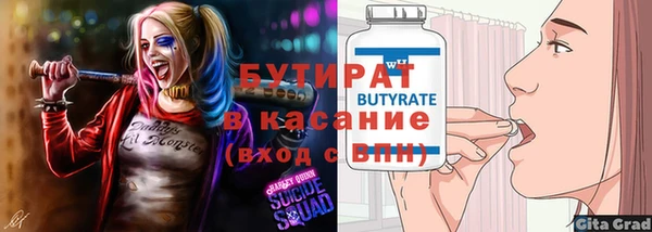 мдпв Бородино